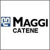 Maggi catene
