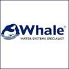 Whale